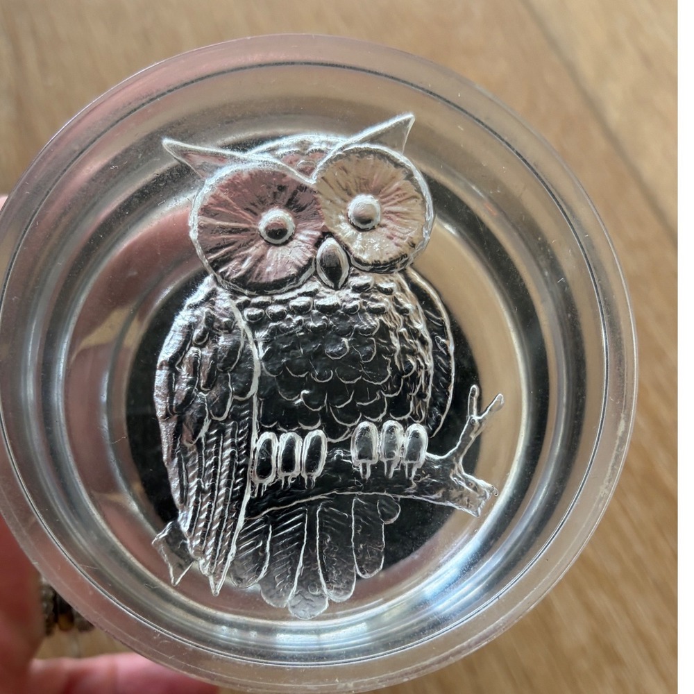 Vintage Clear Acrylic Owl Trinket Box Frosted Glass Style Jewelry Dish Round
